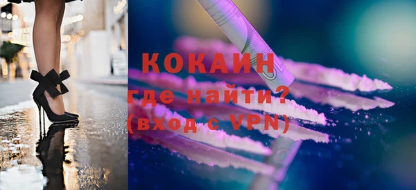 шишки Новозыбков
