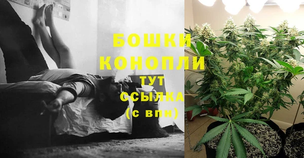 дживик Бежецк