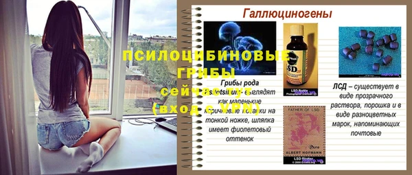 не бодяженный Няндома